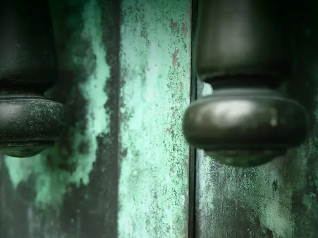 Instructions on Seeking Outstanding Locks for Front Doors and Various Entryways