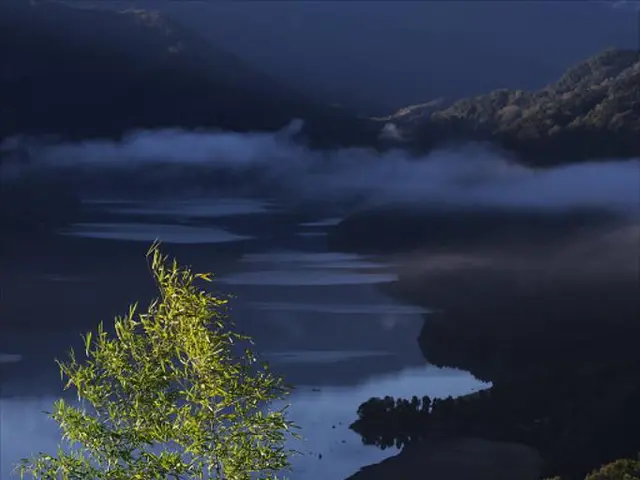Unveiling of Winning Photos Showcasing Stunning Wetland Scenery, Courtesy of Greenstorm