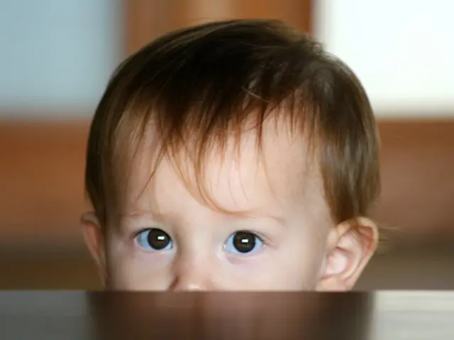 Investigation of Enlarged Head Size in Fetuses: Imaging Techniques and Consequences