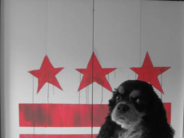 Canines Offering Solace and Healing Care at St. Agnes Medical Center