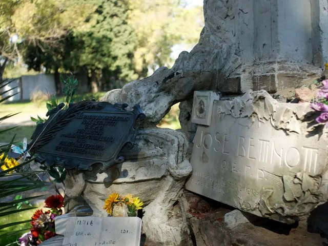 Knowledge of the New Zealand native flower, Kōwhai