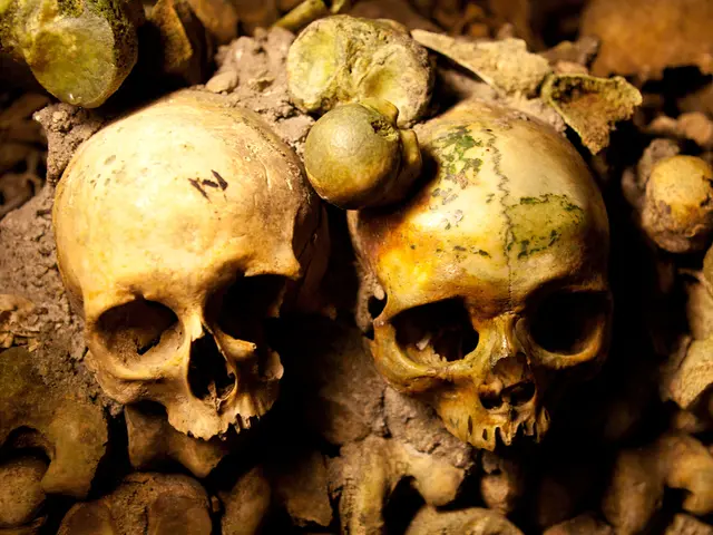 Hypoplasia Development: Locations, Causes, Impact, and Therapeutic Strategies