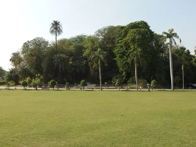 Strolling: A Remedy for Various Ailments You Might Experience