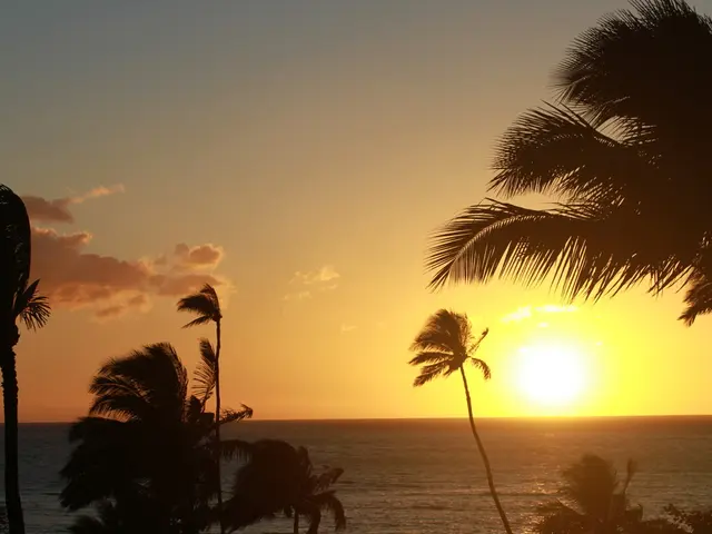 Minimizing Artificial Light Interference for Astronomical Viewings via Telescope