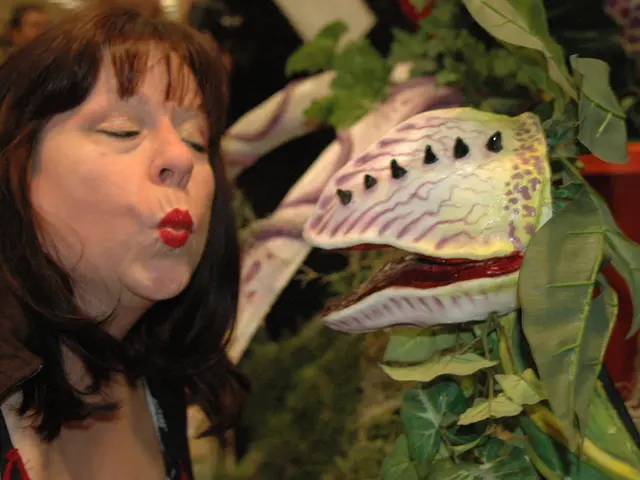 Lung noises called vesicular breaths: What they are and if they're typical?