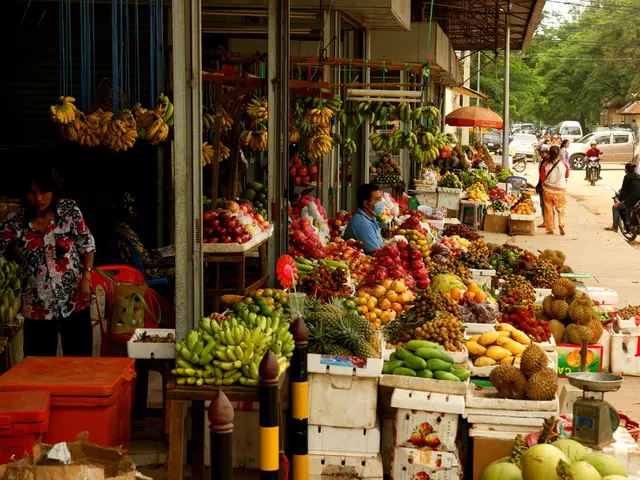 Revealing Core Concepts: Decoding Prosocial Attitudes