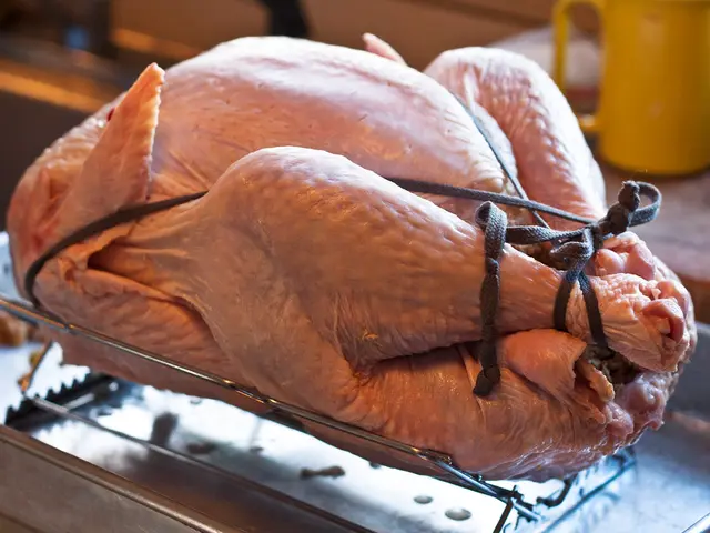 Scientists Successfully Cultivate Chicken Nuggets Artificially in a Laboratory