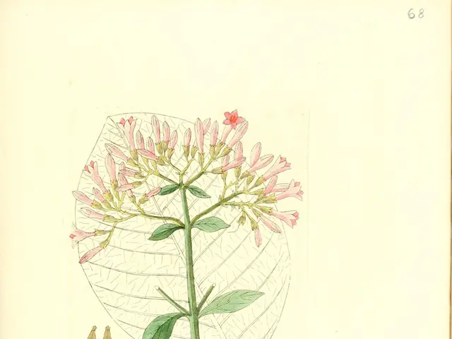 Transplantation of Stem Cells: Examination of Autologous, Hematopoietic Varieties, and Additional...