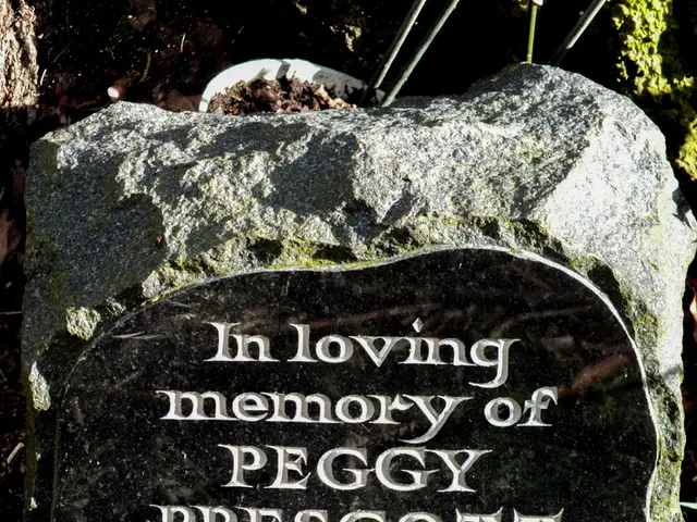 Rare Gemstone Finds for Gemmologists: Unique Occurrences Worth Exploring