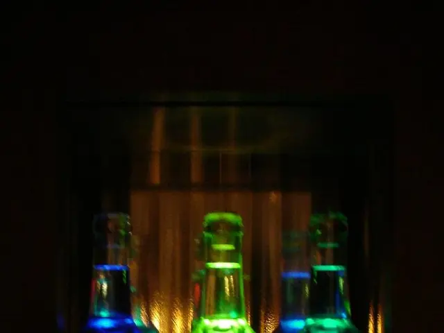 Medjool Dates: Characteristics, Nutritional Facts, and Advantages