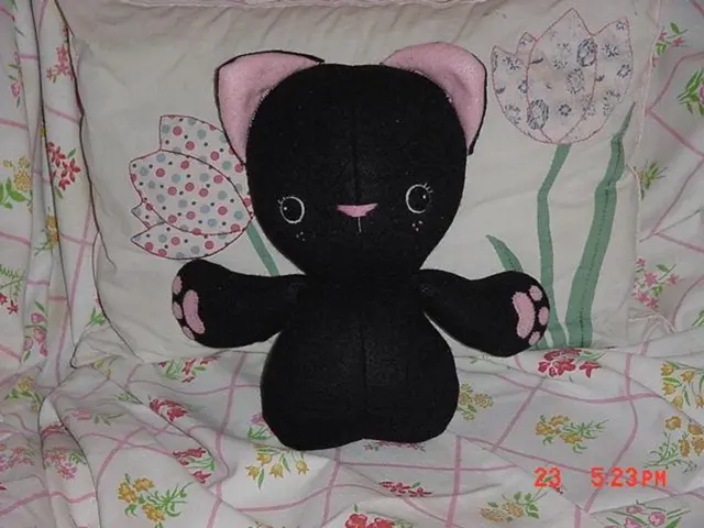 Reproductive structures and components of the female body, along with their respective roles