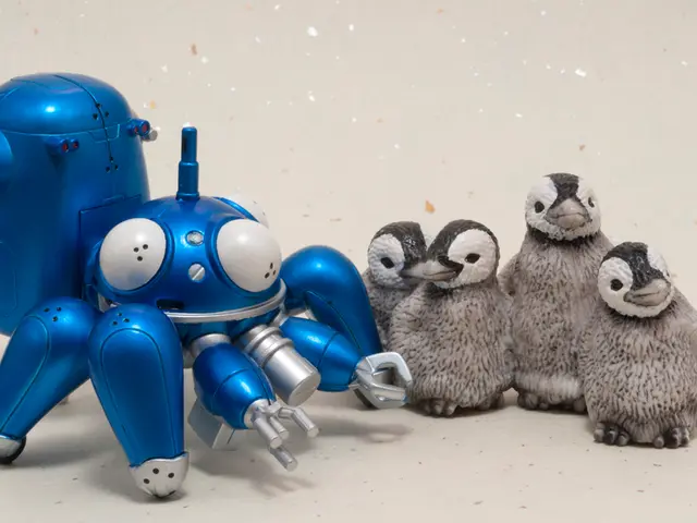 Participate in a square dance exhibition and practice sessions