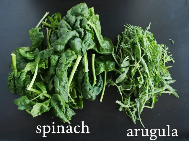 Molybdenum Usage, Dietary Guidelines, and Related Information