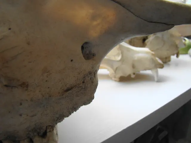 Mandelic Acid: Its Benefits, Drawbacks, and Applications