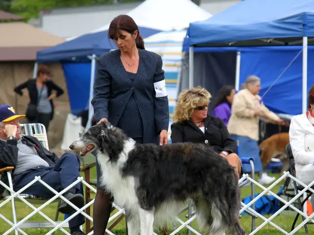 Dog's timely actions lead to the rescue of two individuals, as the heroic canine guides its owner...