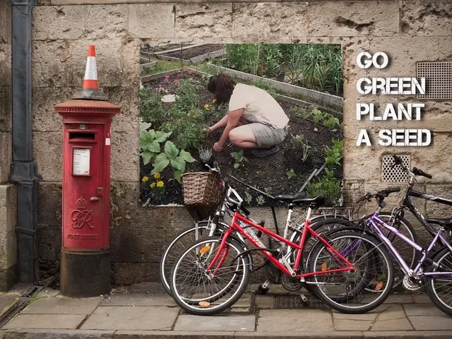 Inquiring about filing an insurance claim for a bicycle mishap that transpired on privately-owned...