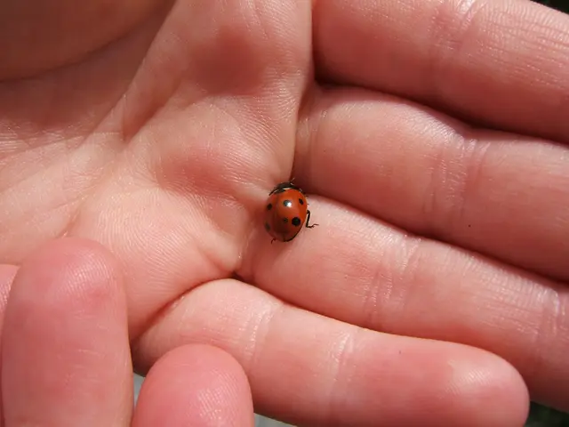 Impairment of one side of the body: Origins, remedies, and additional details