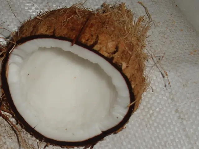 Allergy to Coconut: Recognizing Signs, Remedies, Foods to Steer Clear Of