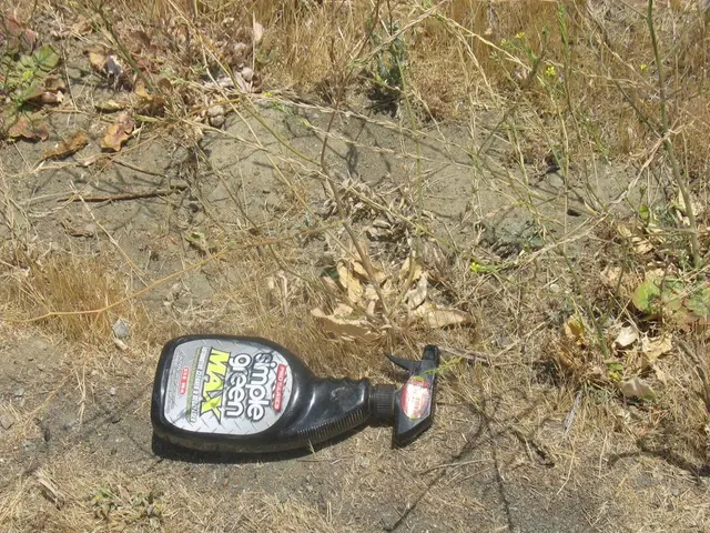 Kefir enhancement for Hortensia: a product promoted to boost the size of plant blossoms...