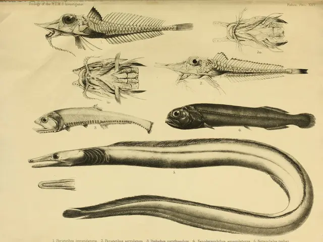 Predatory snakes, specifically pythons, revealed to have remarkable digestive processes enabling...