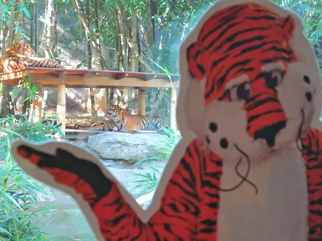 Interpreting a Dream of a Aggressive Tiger: Understand the Symbolism in Your Nighttime Visions