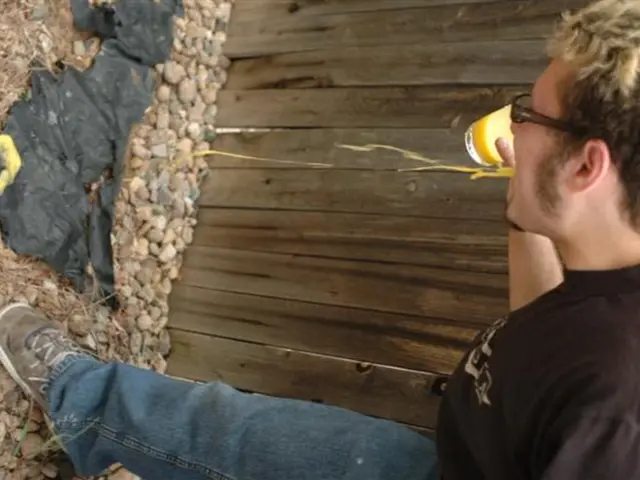 Acupuncture Treatment for Gerd: Studies, Options, and Commonly Asked Questions