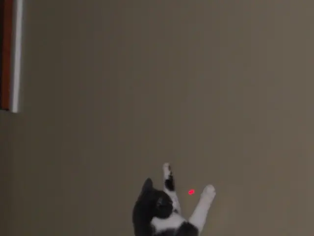 Excimer Laser Therapy for Vitiligo: A Look at This Treatment Method and Additional Information