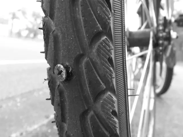 Cervical cancer recurrence: Prognosis, remediation, and resources for help