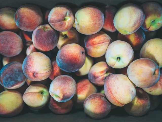 Is the Fruitarian Diet Nutritious for Individual Consumption?