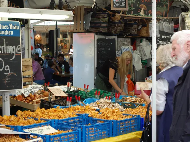 Strategies for Avoiding Data Leaks: What Factors Could Assist in Preventing Cyber Leaks in 2023