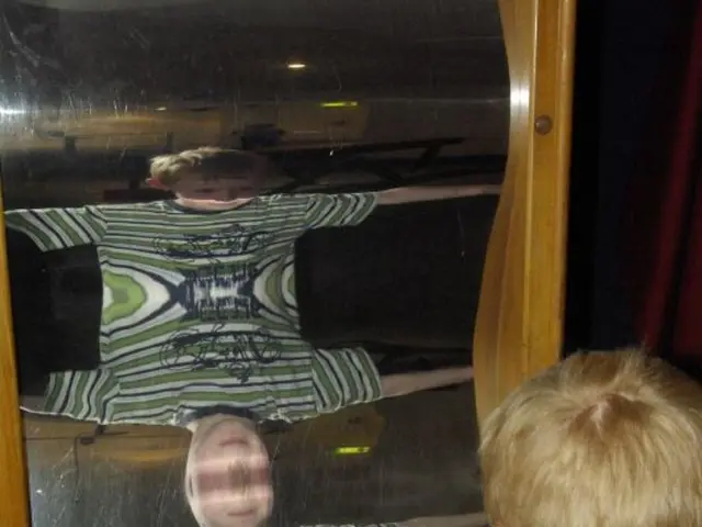 Twin Mirrors: Unraveling the Scientific Basis, Characteristics, and Enigmas of This Unusual...