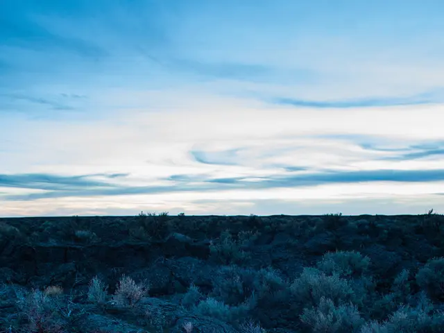 Proper conduct around a fire: Identifying secure zones and actions to steer clear of