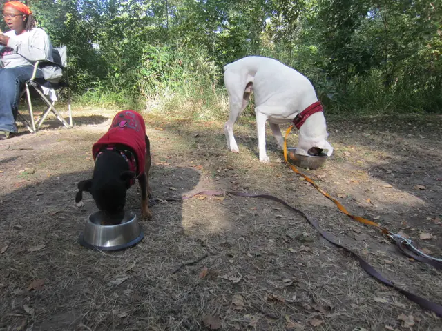 Avoid discarding food waste in open areas on the university premises to prevent strays dogs from...