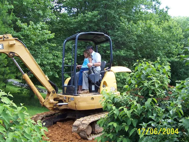 Xeljanz Functioning: Its Effects and Timeline for Action