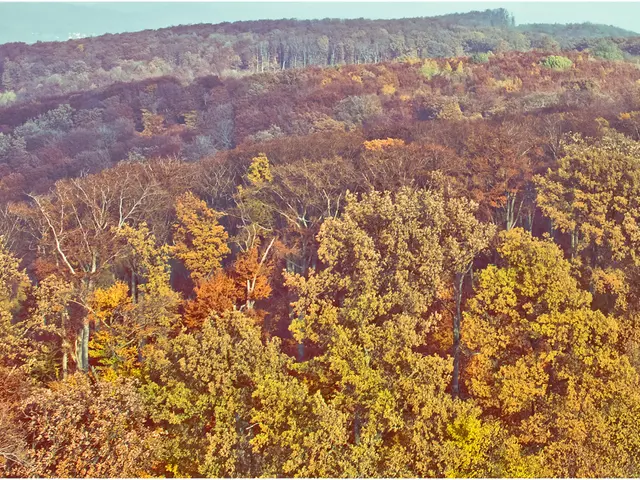 The potential of Nature in healing us is under investigation by Toyota, seeking answers.