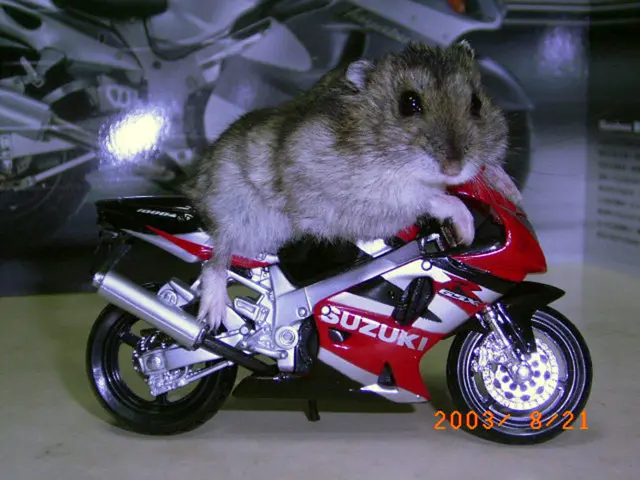 Interpreting Rodent Visions: The Significance Behind Dreams Involving Rats Unveiled