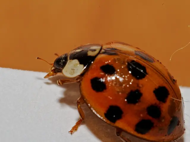 Stomach flu spread methods, prevention tips, and additional information explained