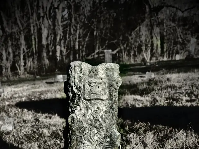 Commemorating the Life of David Stanley