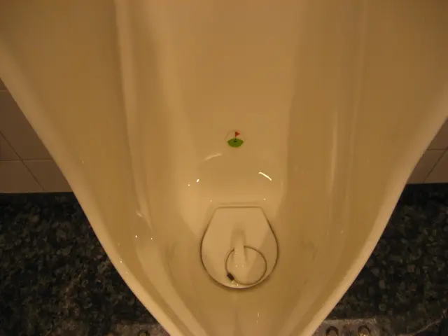 Habits You Unknowingly Maintain During Urination that Negatively Impact Pelvic Health