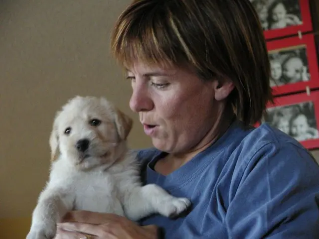Family's New Puppy Causes Significant Stress for Female Family Members