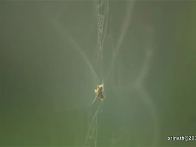 Uncovering the mechanisms of methane conversion