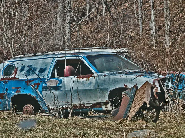 Rescuers discover injured mushroom forager after town's concern over vanished collector