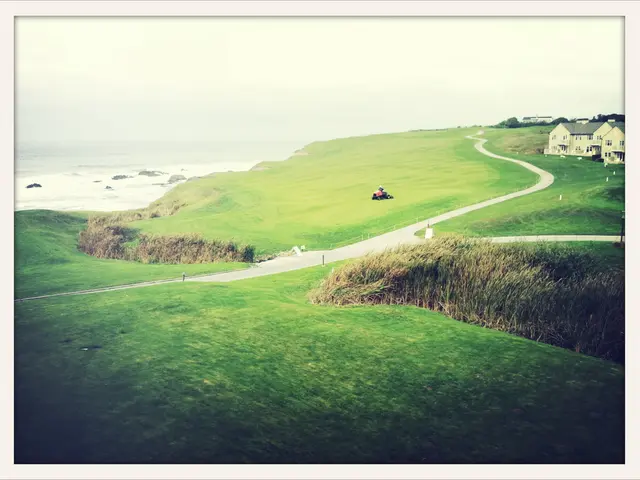 Transformation of Rural Health Fund: Insights from Federal, State, and Key Stakeholders