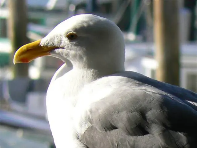 Unveiling of the 'Grue Jay' Hybrid Exhibits Unnerving Symbolism - A Noteworthy Cautionary Tale...