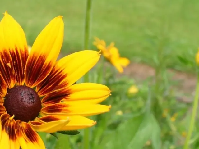 Rural health care concerns resurface with recent clinic closures