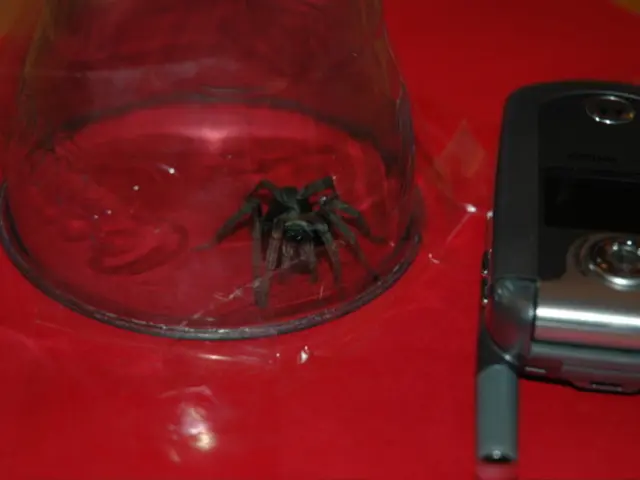 Monthly Enrollment Alternative Unveiled for Medicare-Medicaid Beneficiaries