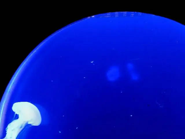 Assessment of Pollutant from automotive tires in marine life, contributing to comprehension of...