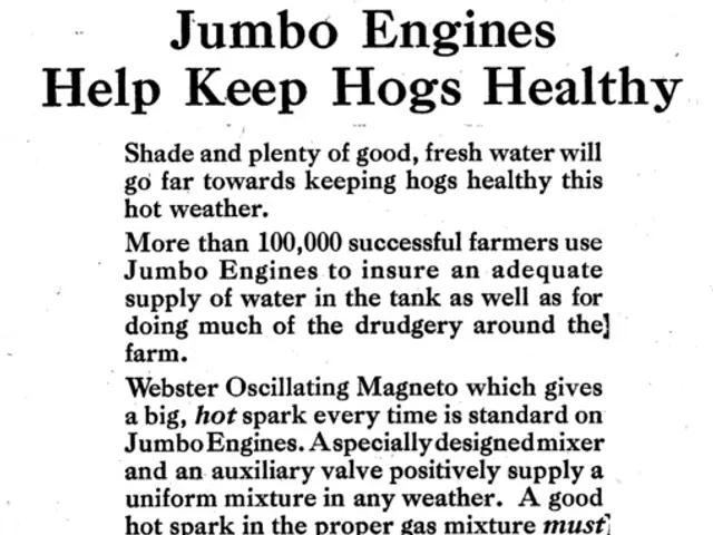 Musk to Present Neuralink's Speech Trial for Non-medical Brain Implantation