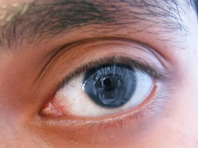 In this picture there is an eye in the center of the image.