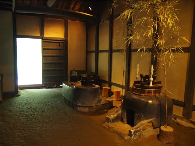 In this picture I can see a fireplace, houseplants, door and some other objects inside a building.
